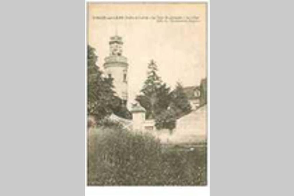 Chouzé-sur-Loire Le Logis De La Tour Saint Jacquesヴィラ エクステリア 写真
