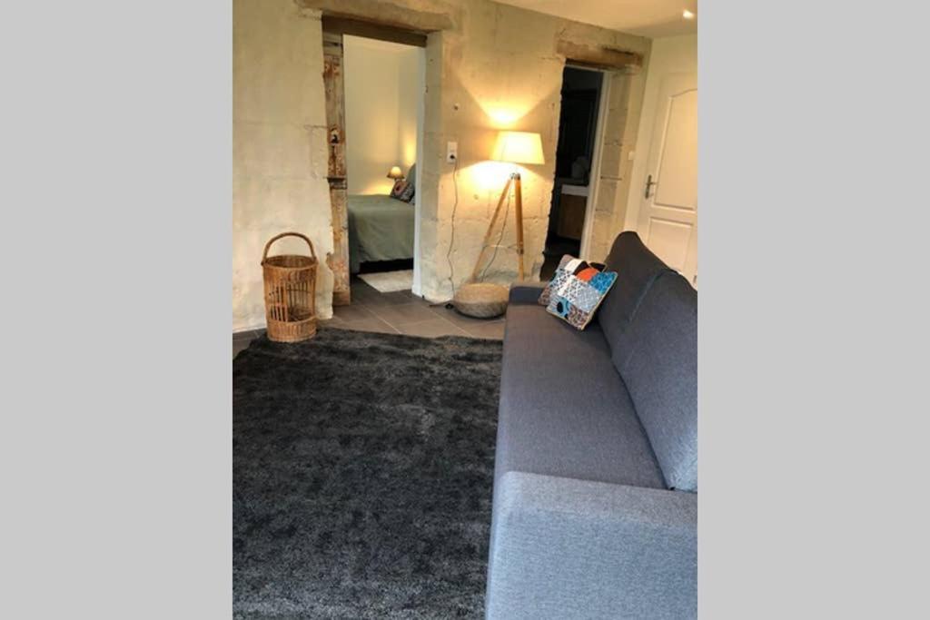 Chouzé-sur-Loire Le Logis De La Tour Saint Jacquesヴィラ エクステリア 写真