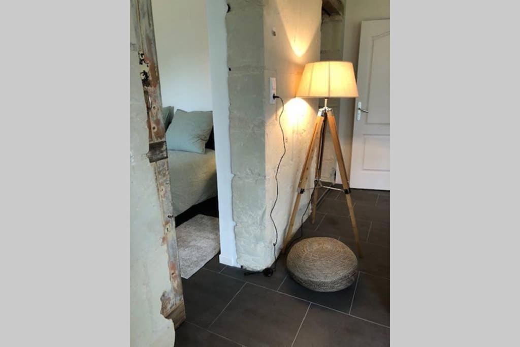 Chouzé-sur-Loire Le Logis De La Tour Saint Jacquesヴィラ エクステリア 写真